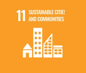 Sustainable cities and economies